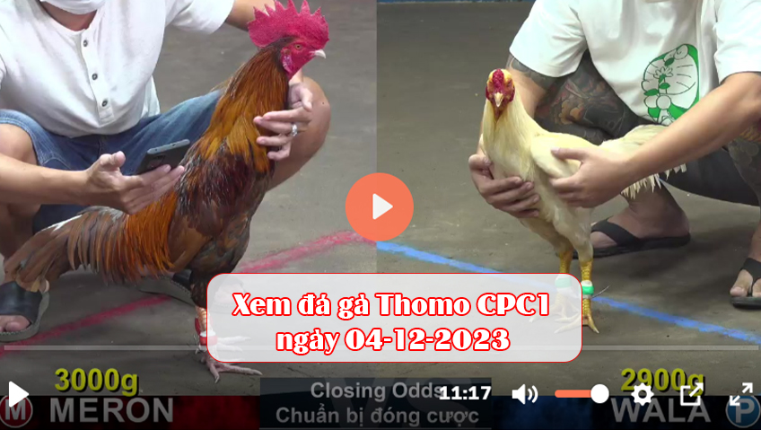 Xem đá gà Thomo CPC1 ngày 04-12-2023